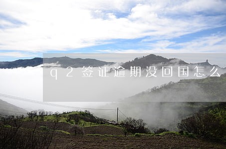 q2签证逾期没回国怎么办 q2签证逾期没回国怎么办