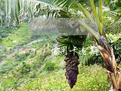 qq信用卡逾期 qq信用卡逾期