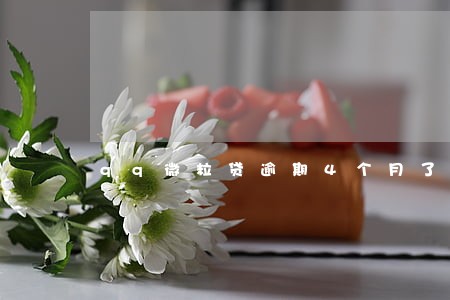 qq微粒贷逾期4个月了 qq微粒贷逾期4个月了