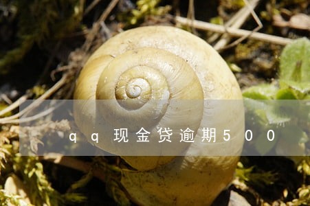 qq现金贷逾期500 qq现金贷逾期500