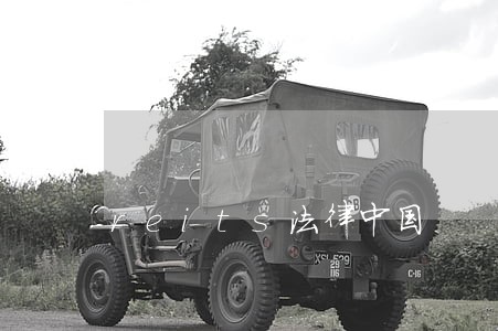 reits法律中国