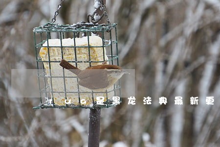rua是黑龙法典最新更新章节 rua是黑龙法典最新更新章节