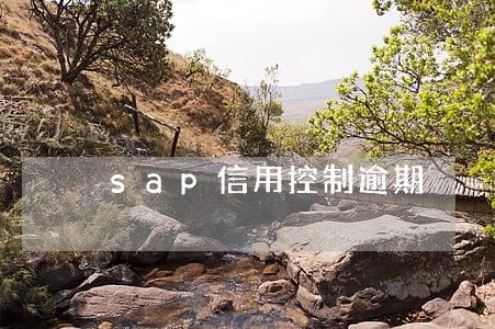 sap信用控制逾期 sap信用控制逾期