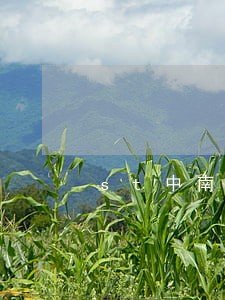 st中南债务逾期达1457亿 st中南债务逾期达1457亿