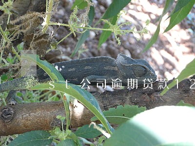st公司逾期贷款12亿 st公司逾期贷款12亿