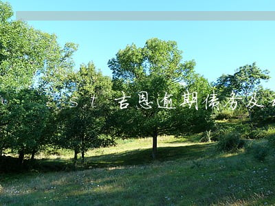 st吉恩逾期债务及利息达85