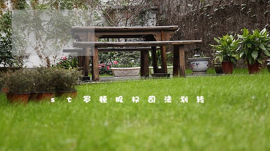 st罗顿股权司法划转