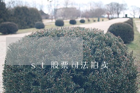 st股票司法拍卖 st股票司法拍卖