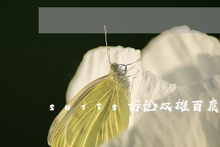 suits诉讼双雄百度云