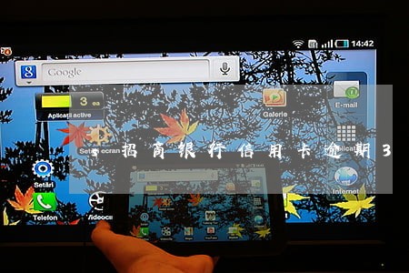s招商银行信用卡逾期3天 s招商银行信用卡逾期3天