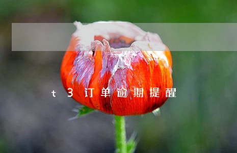 t3订单逾期提醒 t3订单逾期提醒