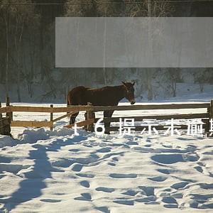 t6提示未逾期的错误 t6提示未逾期的错误