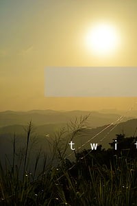 twitter中国法律