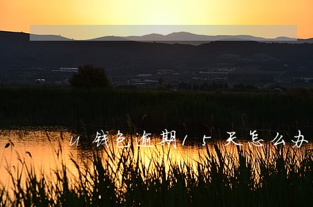u钱包逾期15天怎么办 u钱包逾期15天怎么办