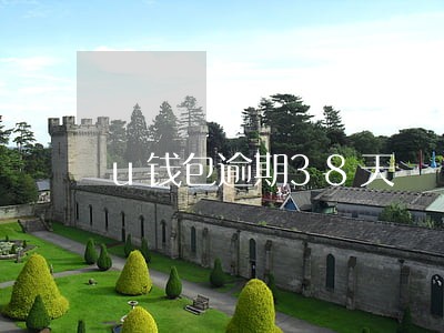 u钱包逾期38天 u钱包逾期38天