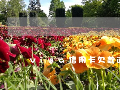 visa信用卡欠款逾期未还 visa信用卡欠款逾期未还