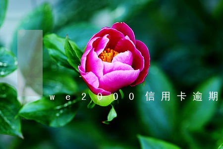 we2000信用卡逾期都能过 we2000信用卡逾期都能过