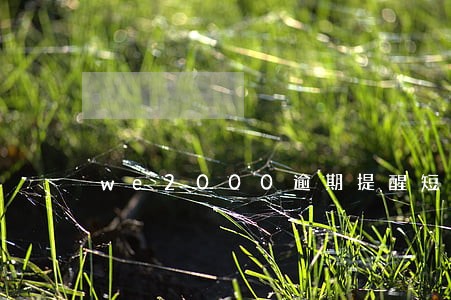 we2000逾期提醒短信 we2000逾期提醒短信
