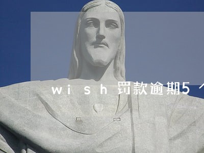 wish罚款逾期5个月未交 wish罚款逾期5个月未交