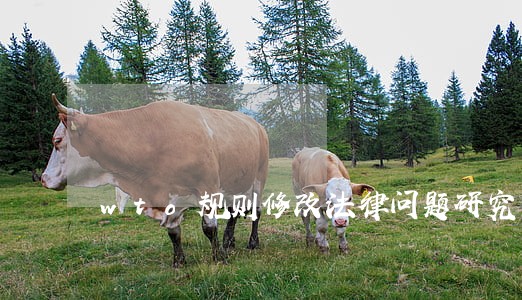 wto规则修改法律问题研究 wto规则修改法律问题研究