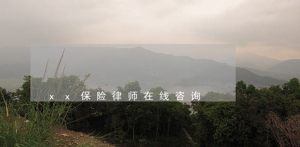 xx保险律师在线咨询 xx保险律师在线咨询