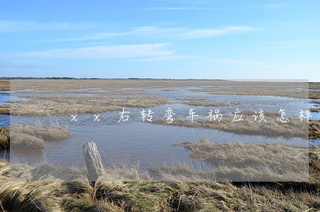 xx右转弯车祸应该怎样诉讼 xx右转弯车祸应该怎样诉讼
