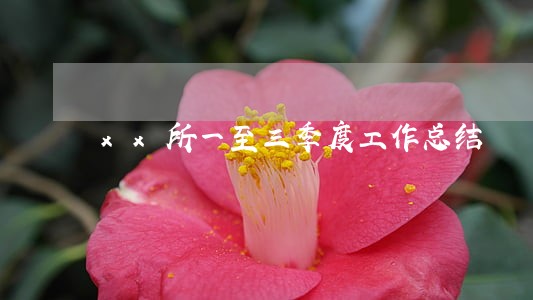 xx所一至三季度工作总结 xx所一至三季度工作总结