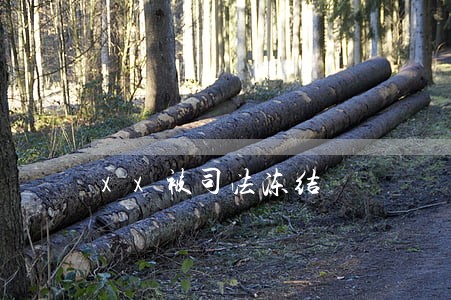 xx被司法冻结 xx被司法冻结