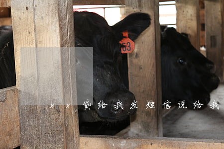 xx贷给我发短信说给我发诉讼案 xx贷给我发短信说给我发诉讼案