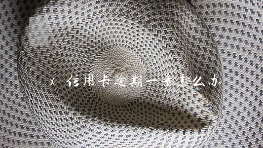 x信用卡逾期一年怎么办 x信用卡逾期一年怎么办