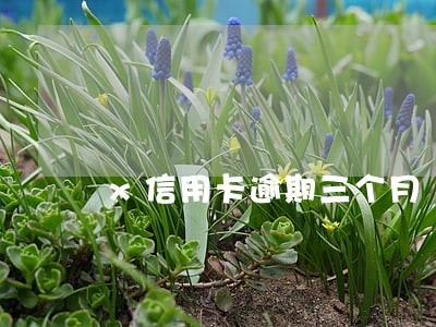 x信用卡逾期三个月 x信用卡逾期三个月