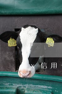 x信用卡逾期标准怎么算 x信用卡逾期标准怎么算