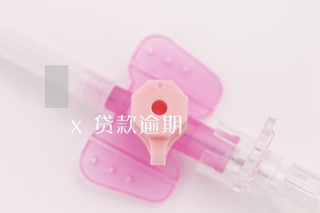 x贷款逾期 x贷款逾期