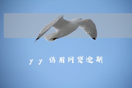 yy信用网贷逾期 yy信用网贷逾期