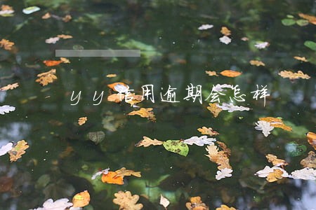 yy信用逾期会怎样 yy信用逾期会怎样
