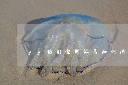 yy信用逾期记录如何消除 yy信用逾期记录如何消除