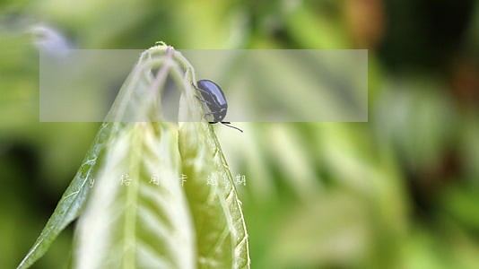 y信用卡逾期 y信用卡逾期