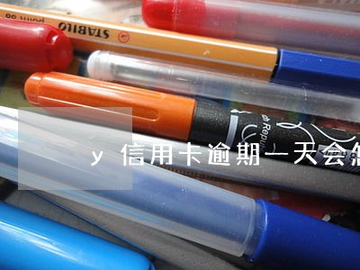 y信用卡逾期一天会怎样 y信用卡逾期一天会怎样