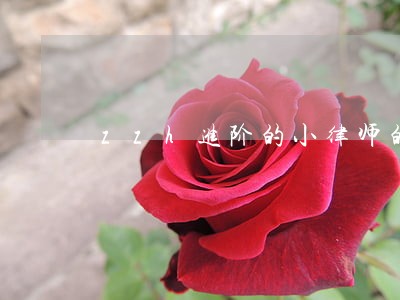 zzh进阶的小律师的个人空间 zzh进阶的小律师的个人空间
