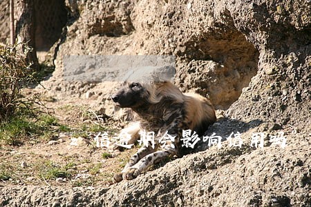 z信逾期会影响信用吗 z信逾期会影响信用吗