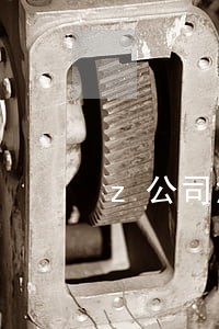 z公司涉及一桩诉讼 z公司涉及一桩诉讼