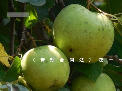 《劳动合同法》第十一条 《劳动合同法》第十一条