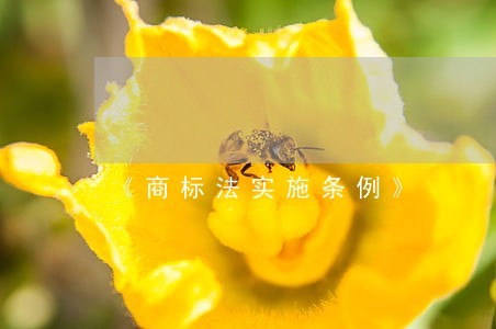 《商标法实施条例》 《商标法实施条例》