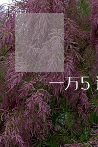 一万5逾期半年 一万5逾期半年
