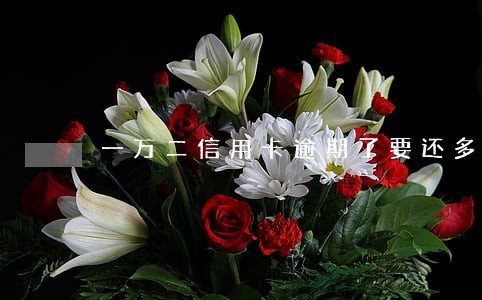 一万二信用卡逾期了要还多少 一万二信用卡逾期了要还多少