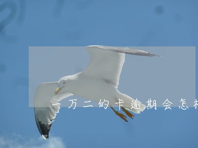 一万二的卡逾期会怎样
