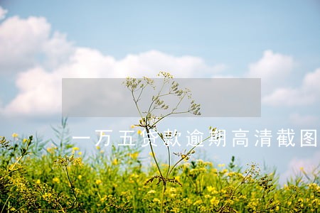 一万五贷款逾期高清截图 一万五贷款逾期高清截图