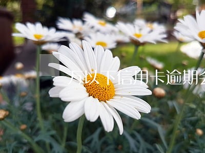一万以下信用卡逾期会怎么样 一万以下信用卡逾期会怎么样