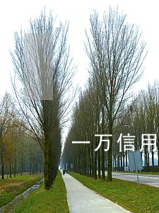 一万信用卡逾期2年利息 一万信用卡逾期2年利息