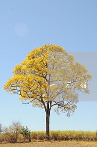 一万信用卡逾期一年还多少天